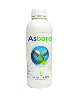 Asboro